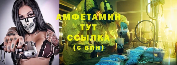 сатива Волосово