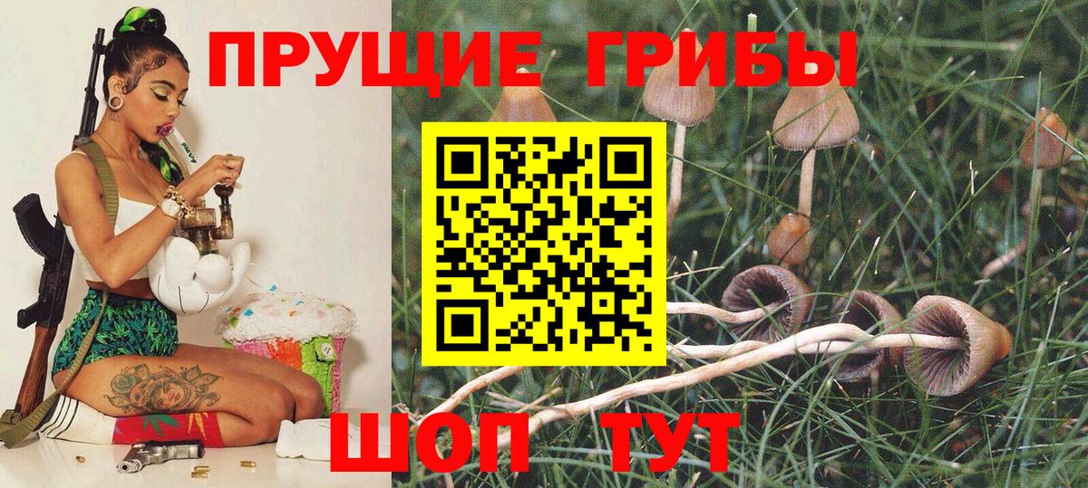 Псилоцибиновые грибы мухоморы  где найти наркотики  Мончегорск  Галлюциногенные грибы GOLDEN TEACHER  Вход с VPN 